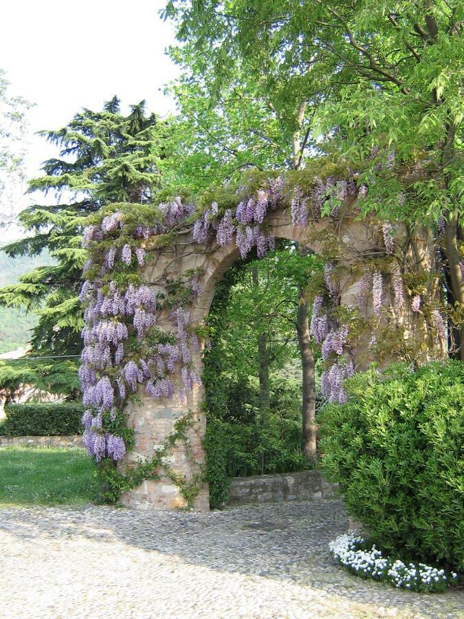 B&B Il Dosso Corte Franca Exteriér fotografie